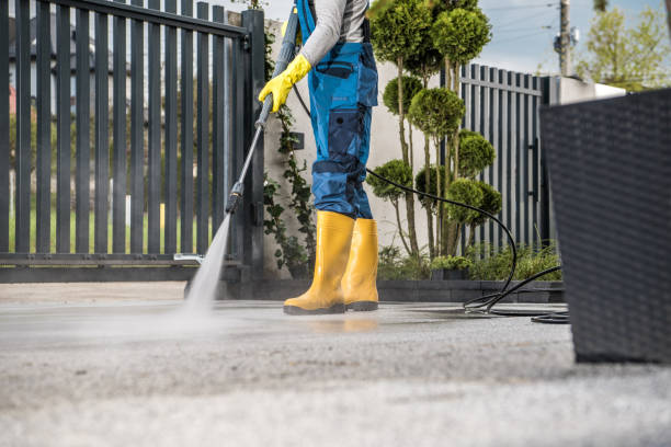 Best Fence Cleaning  in Wmette, IL